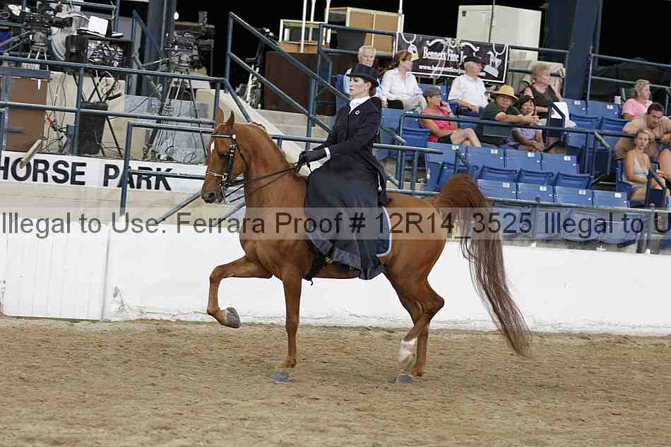 Proof 12r14_3525