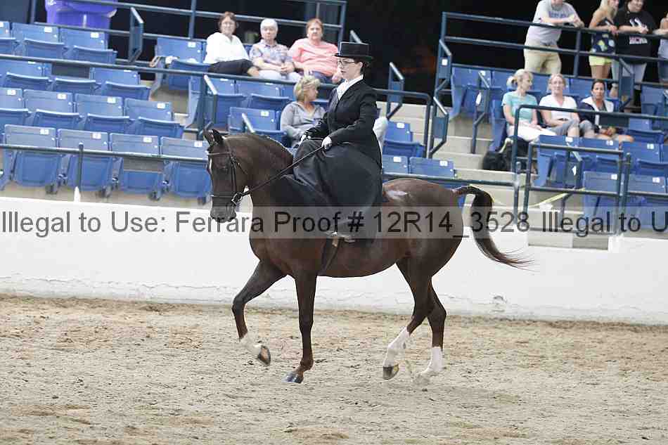 Proof 12r14_3528