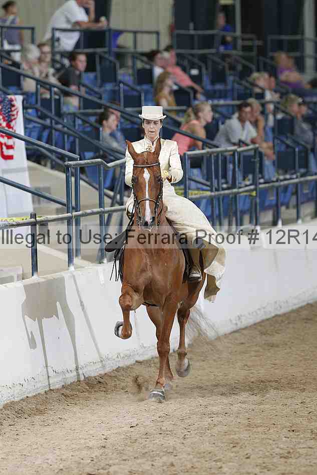 Proof 12r14_3529