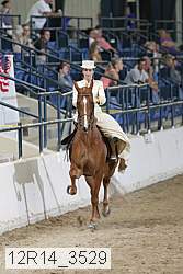 12r14_3529 proof