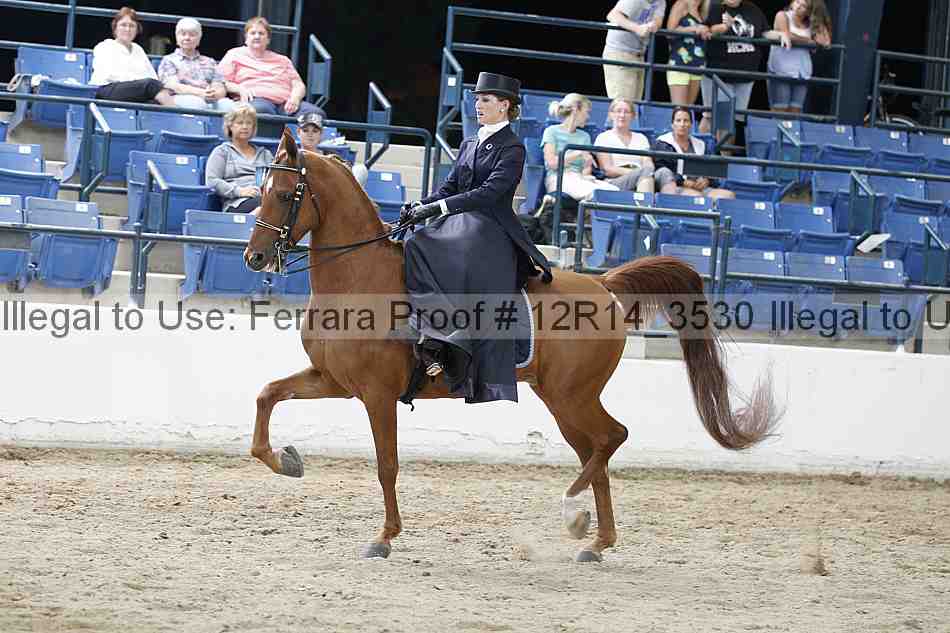 Proof 12r14_3530