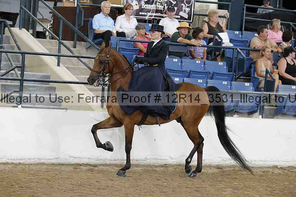 Proof 12r14_3531