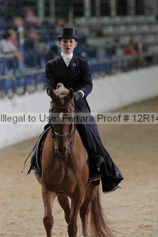 Proof 12r14_3533