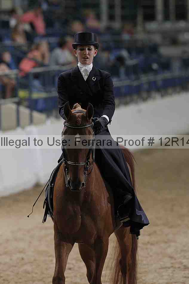 Proof 12r14_3534