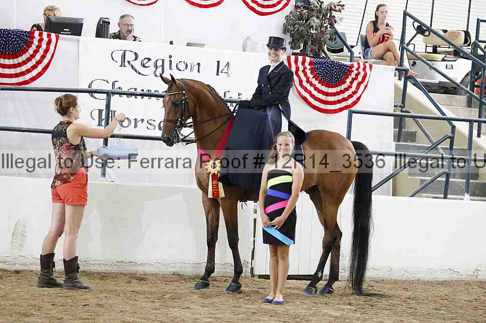 Proof 12r14_3536