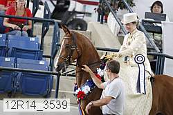 12r14_3539 proof