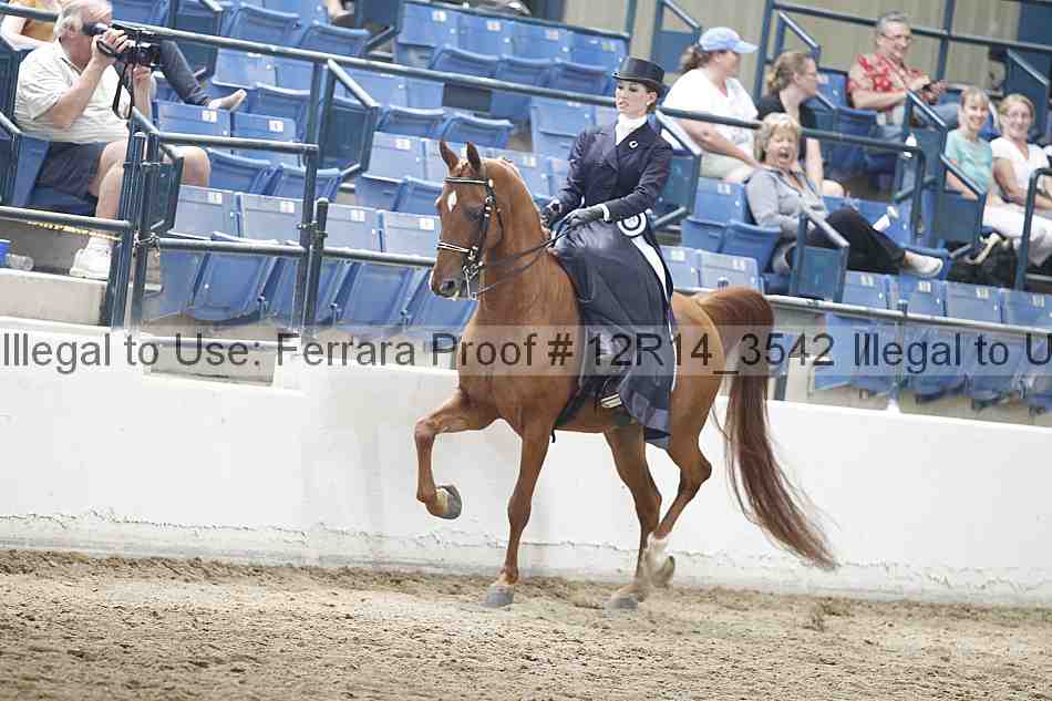 Proof 12r14_3542