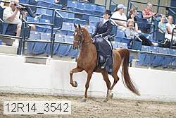 12r14_3542 proof