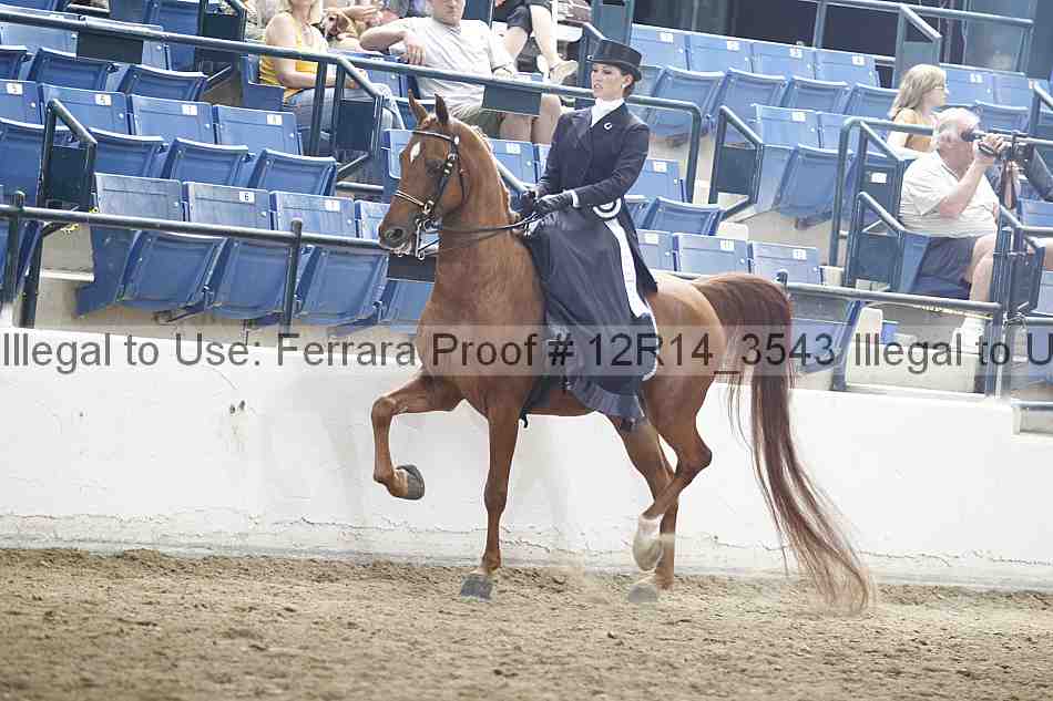 Proof 12r14_3543