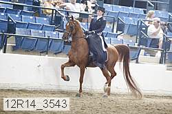12r14_3543 proof