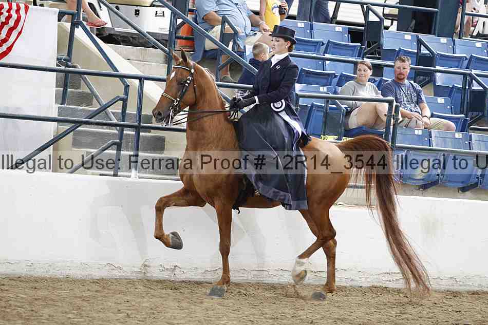 Proof 12r14_3544