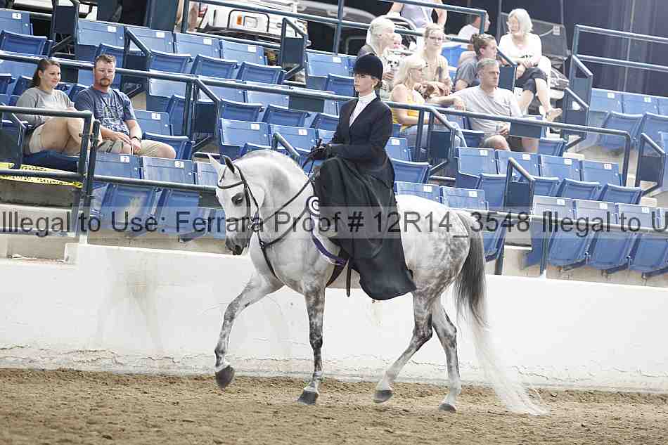 Proof 12r14_3548