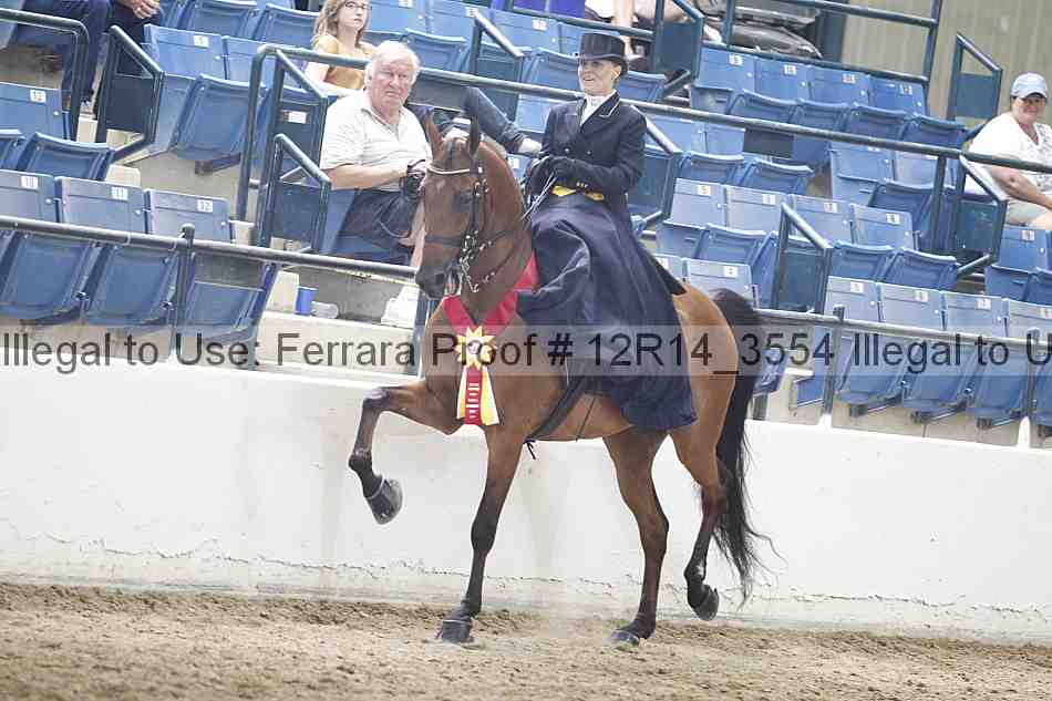 Proof 12r14_3554