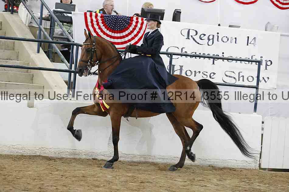 Proof 12r14_3555