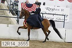 12r14_3555 proof
