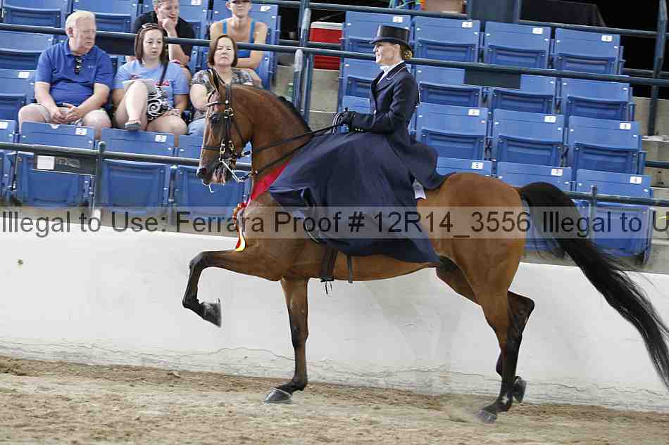 Proof 12r14_3556