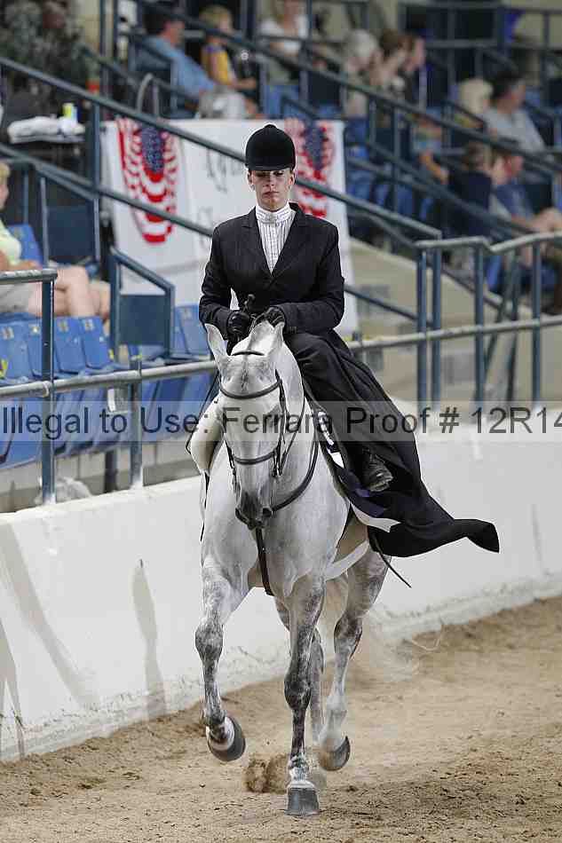 Proof 12r14_3557