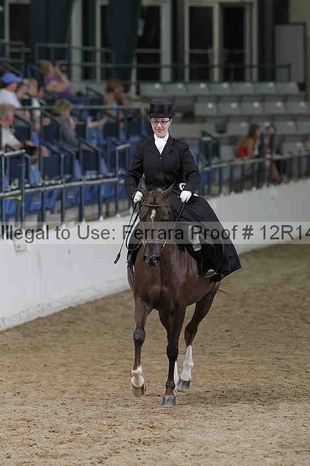 Proof 12r14_3558