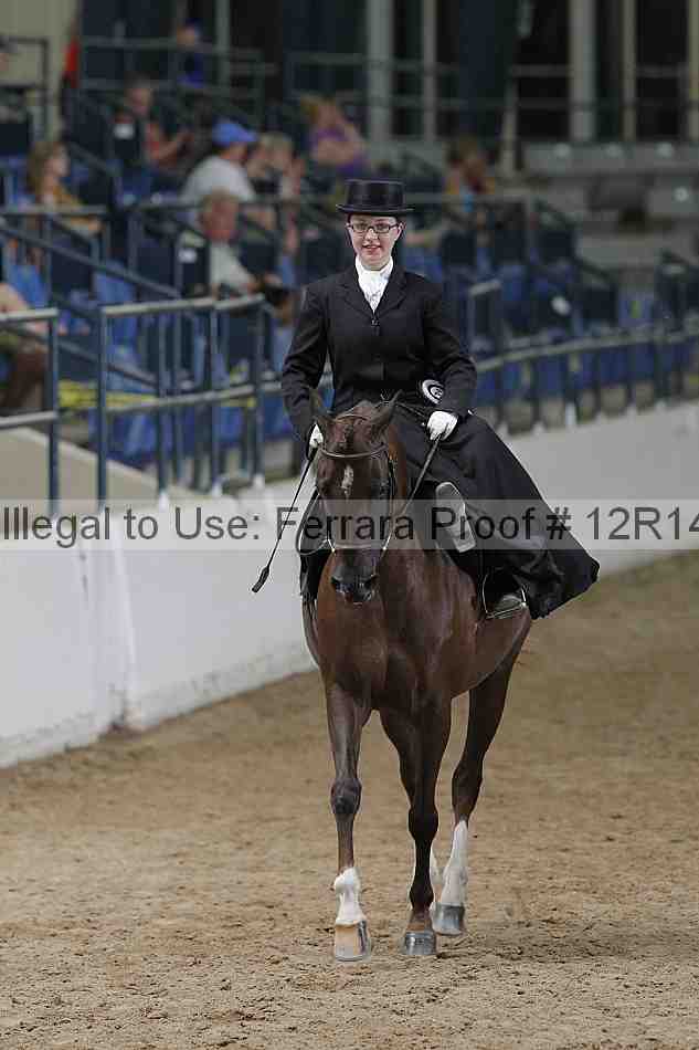 Proof 12r14_3559