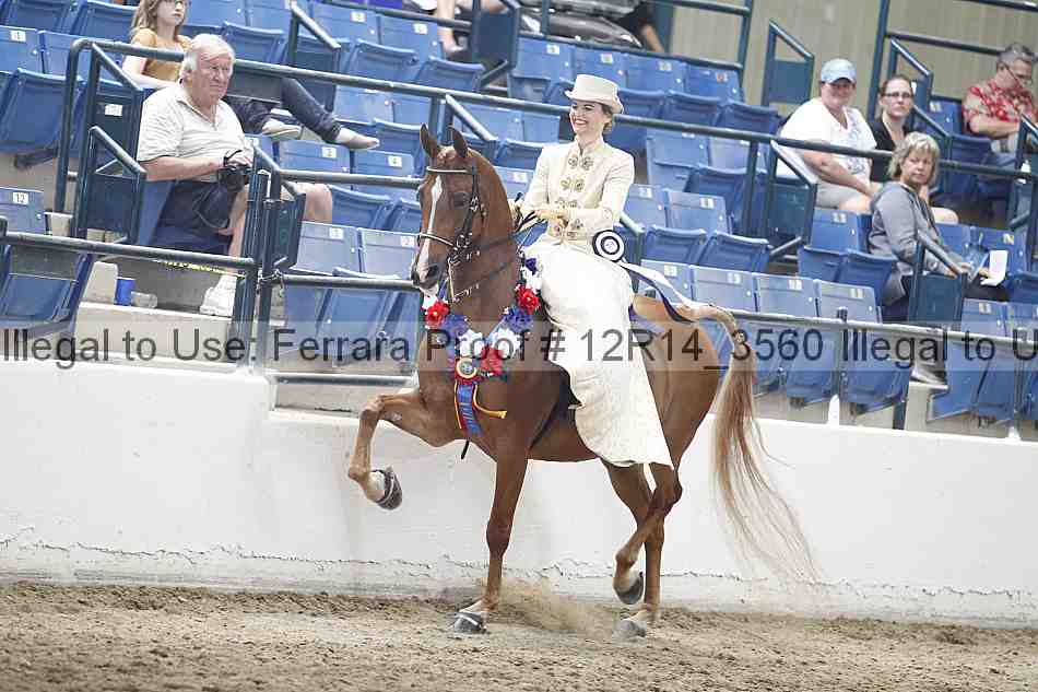 Proof 12r14_3560