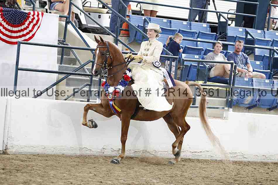 Proof 12r14_3561