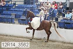 12r14_3562 proof