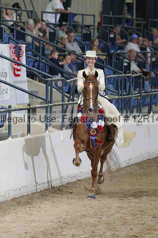 Proof 12r14_3564