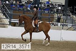 12r14_3571 proof