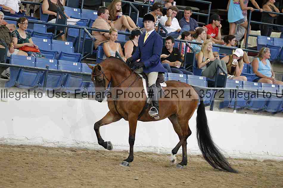 Proof 12r14_3572