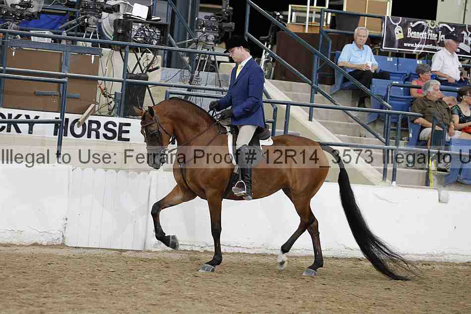 Proof 12r14_3573