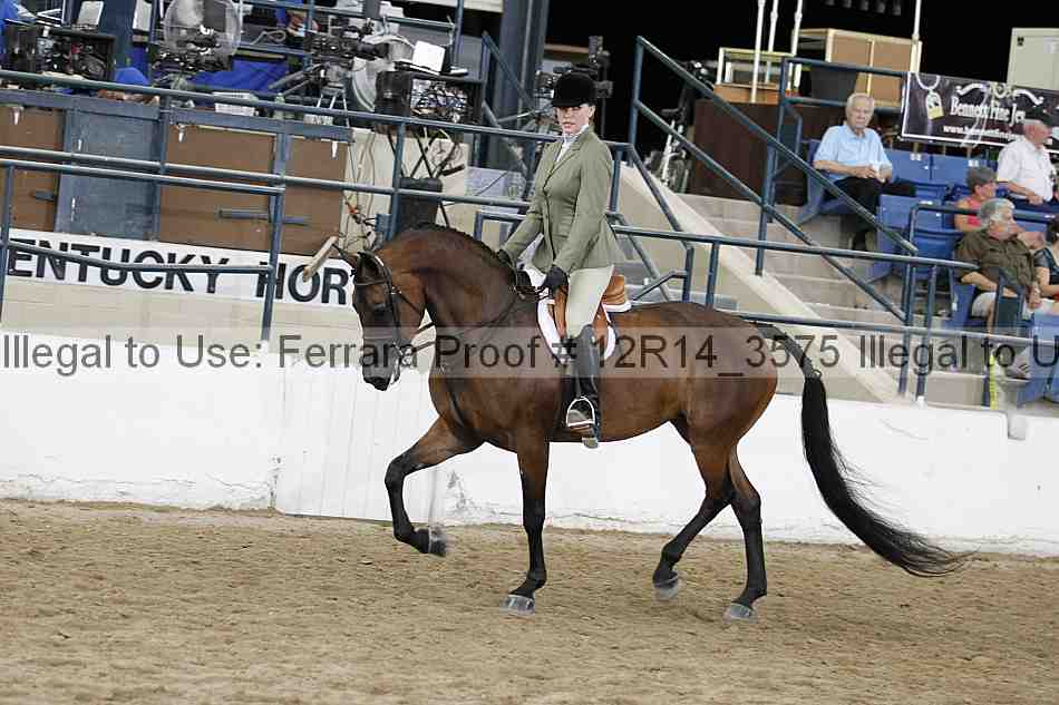Proof 12r14_3575