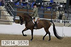 12r14_3576 proof