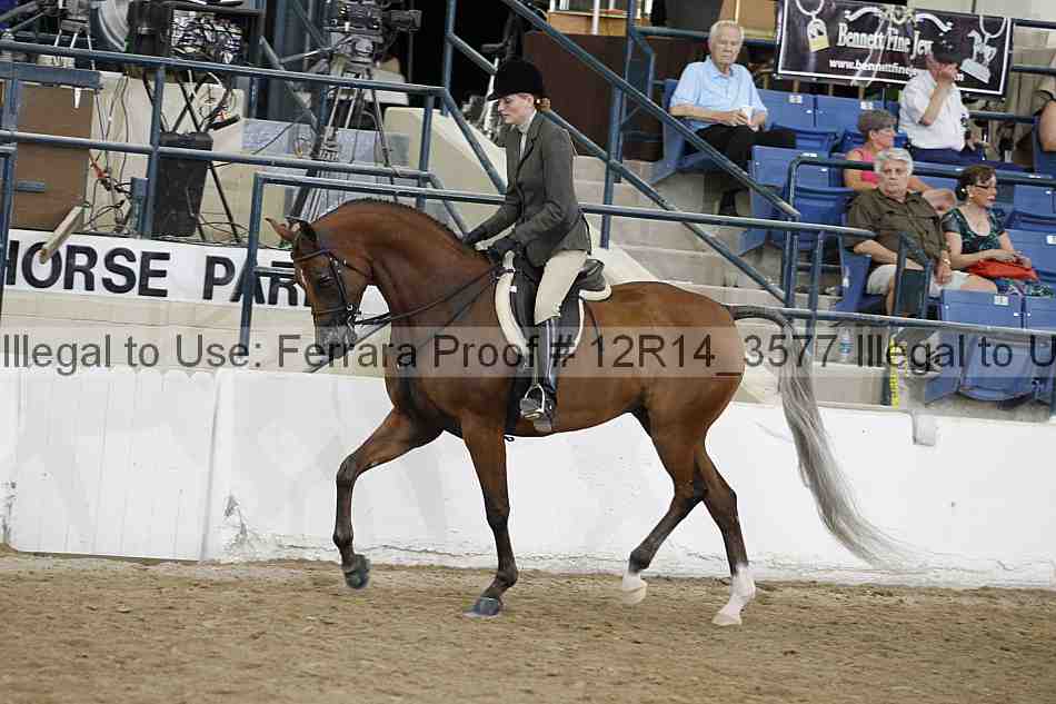 Proof 12r14_3577