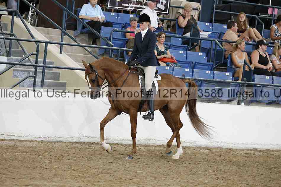 Proof 12r14_3580