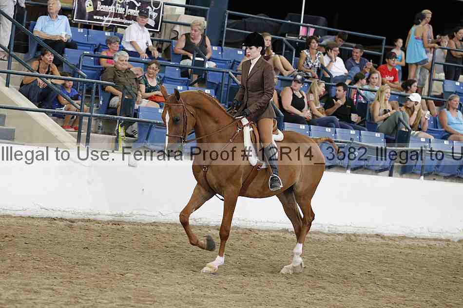 Proof 12r14_3582