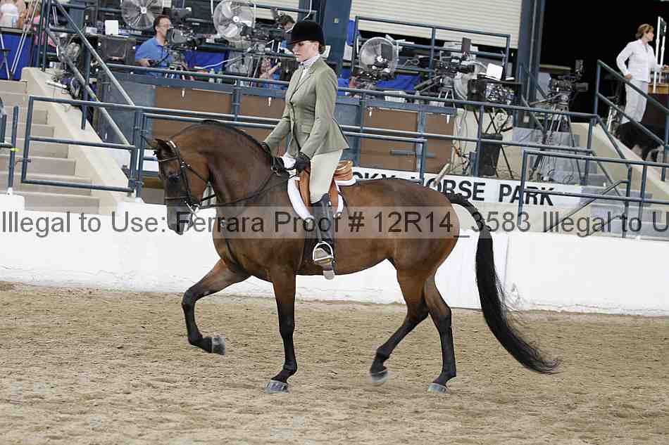 Proof 12r14_3583