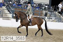 12r14_3583 proof