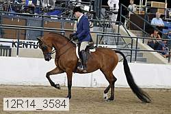12r14_3584 proof