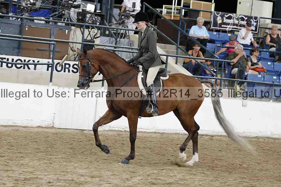 Proof 12r14_3585