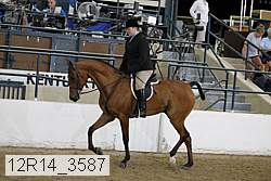12r14_3587 proof