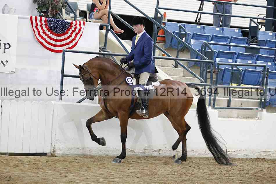 Proof 12r14_3594