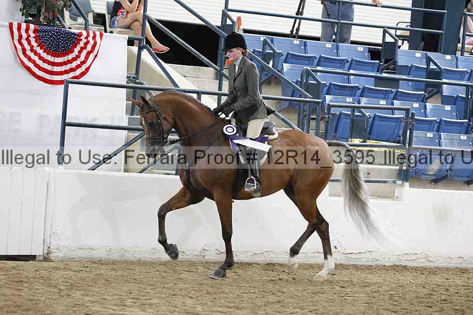 Proof 12r14_3595