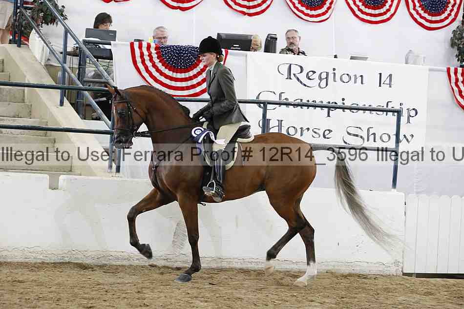 Proof 12r14_3596