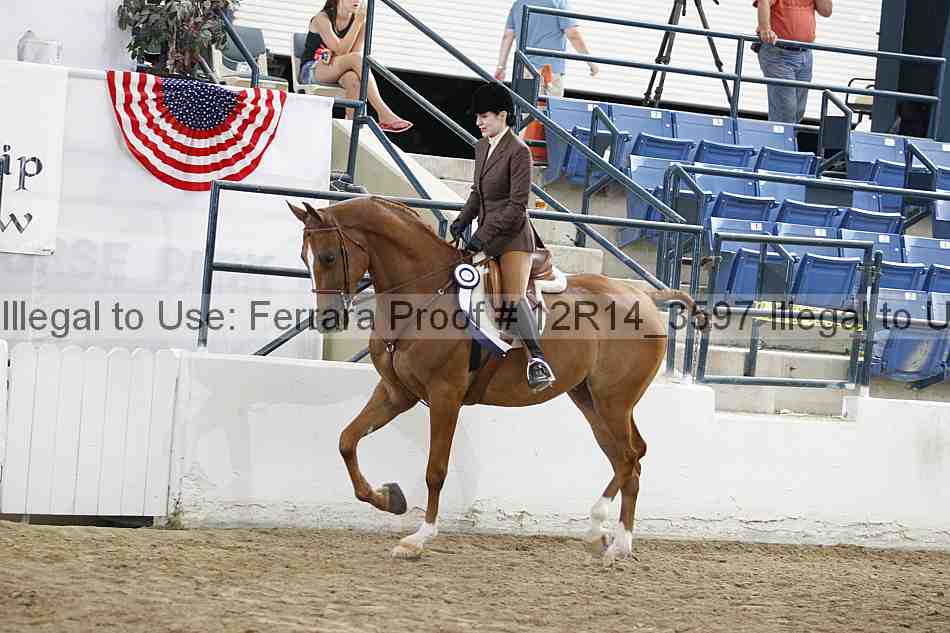 Proof 12r14_3597