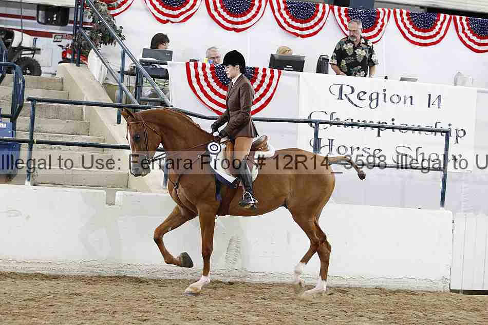 Proof 12r14_3598