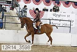 12r14_3598 proof