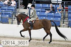 12r14_3601 proof