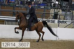12r14_3607 proof