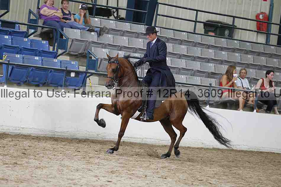 Proof 12r14_3609