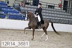 12r14_3681 proof